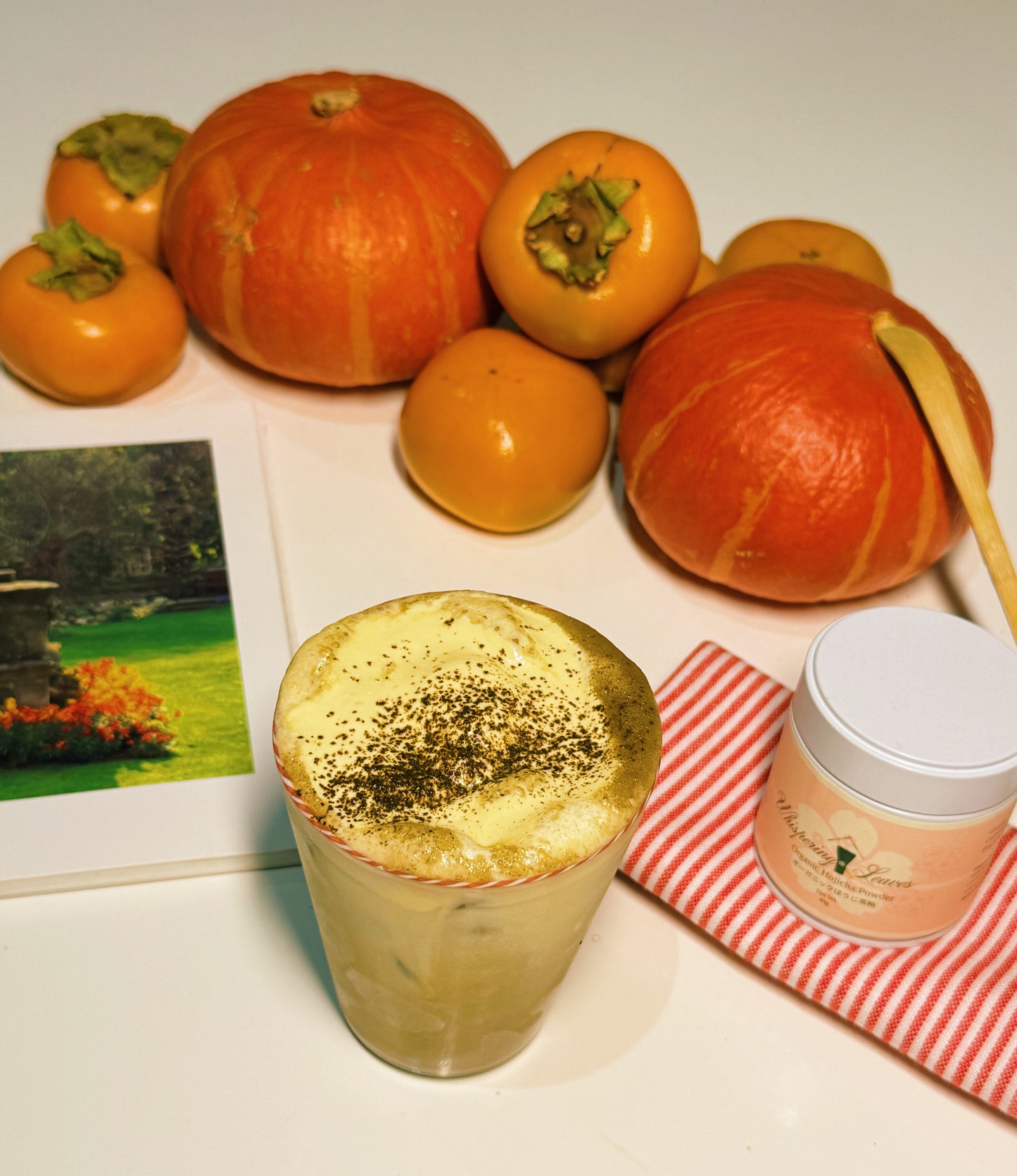 Organic Houjicha powder - 40g